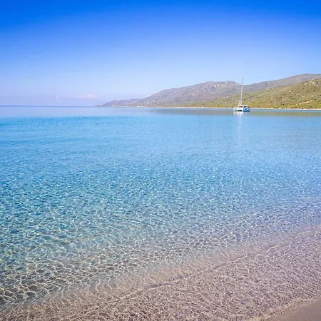 Mini-villa Climatisee Avec Terrasse, Piscine- Proche De Cupabia- Corse Du Sud