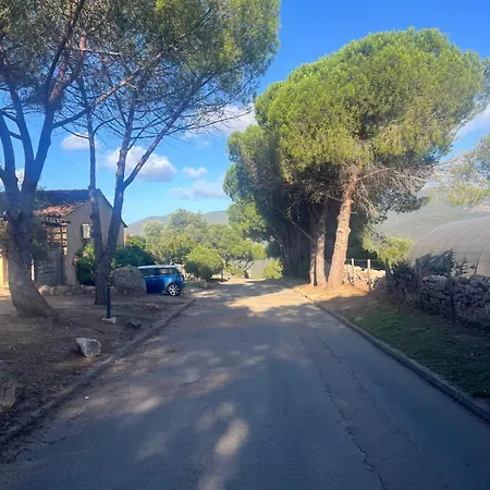 Nyaraló Mini-villa Climatisee Avec Terrasse, Piscine- Proche De Cupabia- Corse Du Sud *
