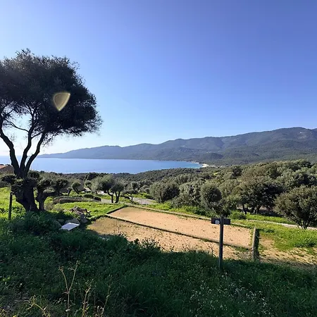 Nyaraló Mini-villa Climatisee Avec Terrasse, Piscine- Proche De Cupabia- Corse Du Sud *